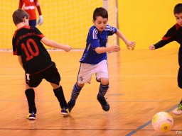 mini-2016-01-30-DSC_4802
